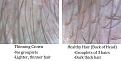 Click image for larger version

Name:	comparison hair 9.19.12.jpg
Views:	367
Size:	63.7 KB
ID:	434609